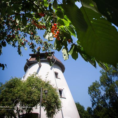 Dom Wakacyjny - Wiatrak Holenderski Na Mazurach Vila Ryn  Exterior foto