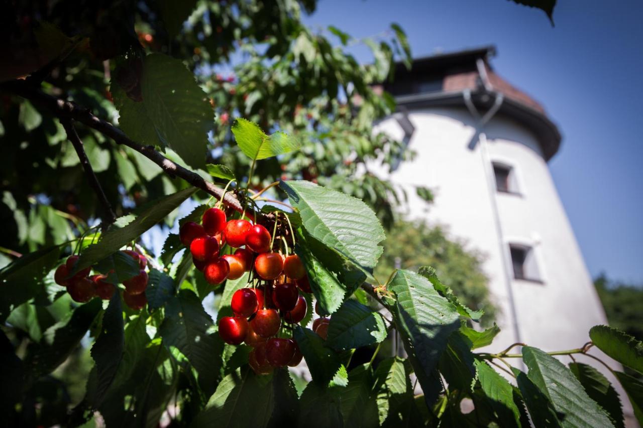 Dom Wakacyjny - Wiatrak Holenderski Na Mazurach Vila Ryn  Exterior foto